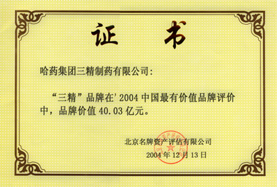 2004年沙龙会官网品牌价值证书